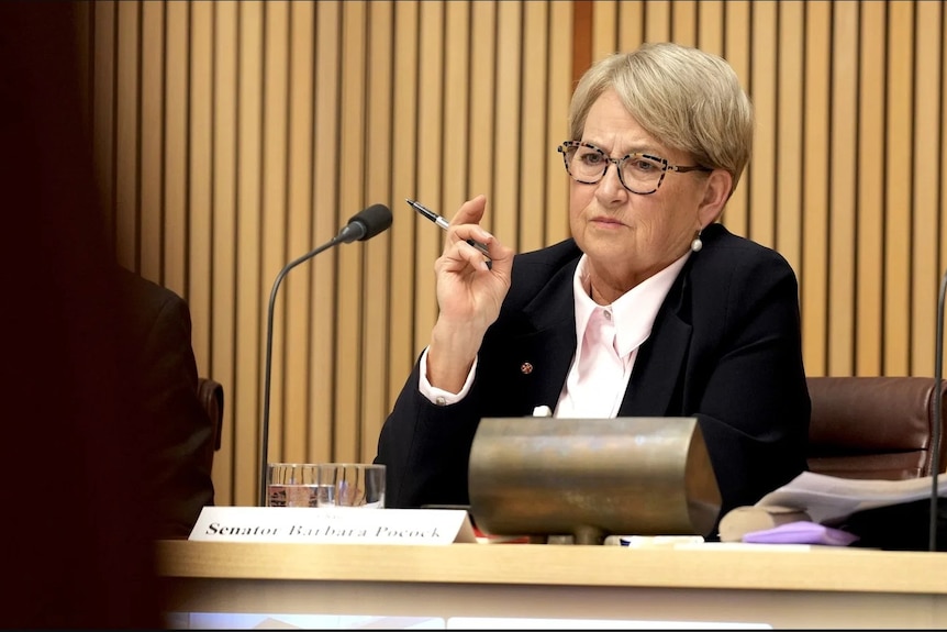 Senator Barbara Pocock in front of microphone