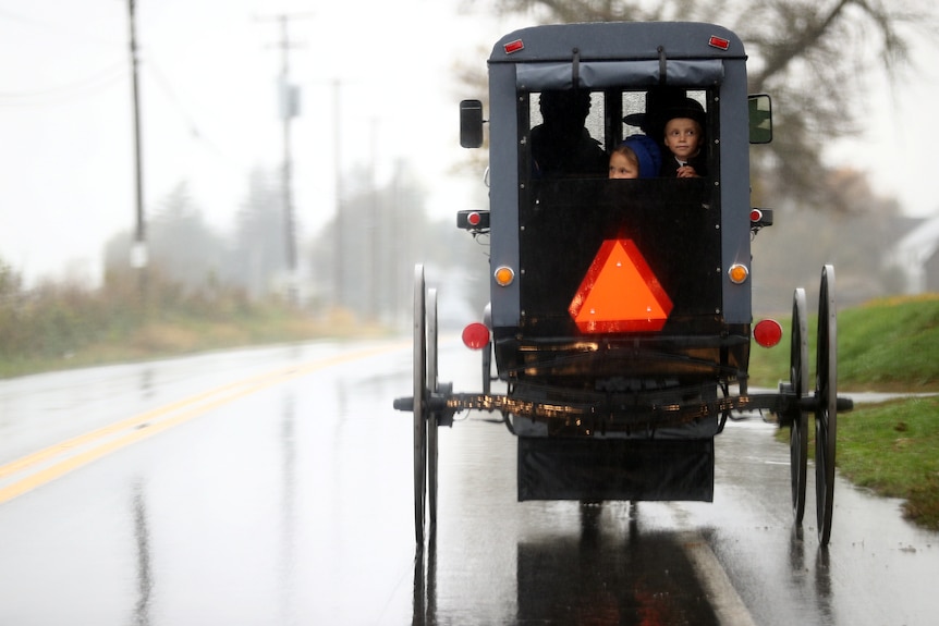 A young Amish boy and girl looking through the open rear door of a horse-drawn black buggy cart on a rainy road.
