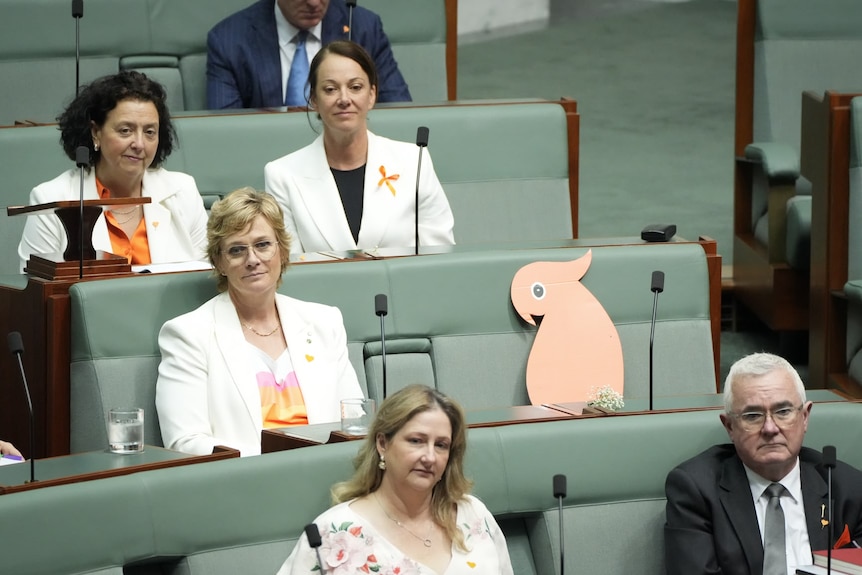 Crossbenchers Monique Ryan, Sophie Scamps, Zali Steggall, Rebekah Sharkie and Andrew Wilkie sitting near orange cockatoo.