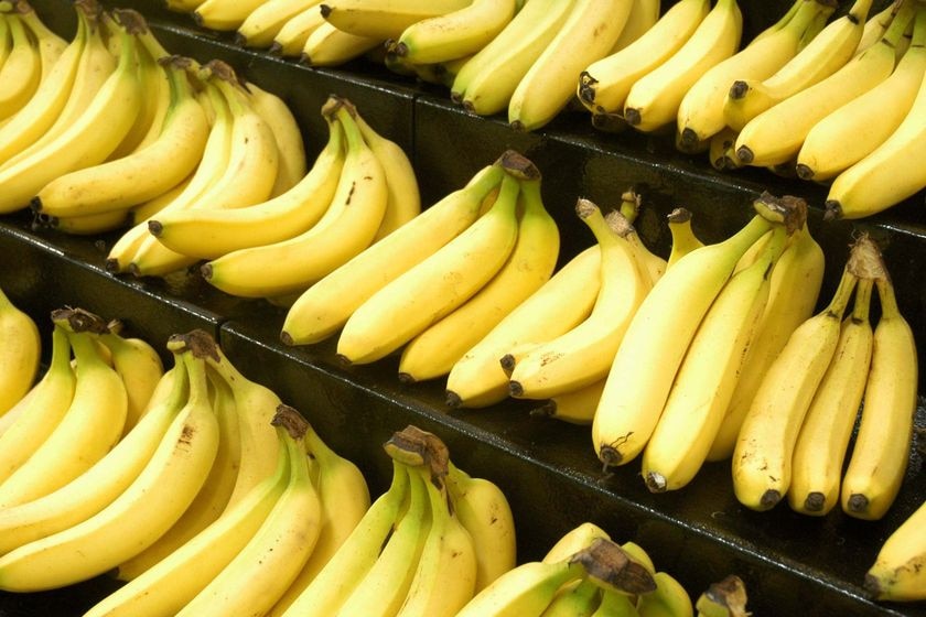 Rows of yellow bananas on shelves.
