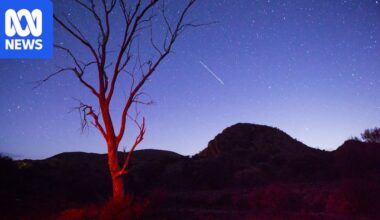 The Orionid meteor shower peaks this week. Here's how to see it from Australia