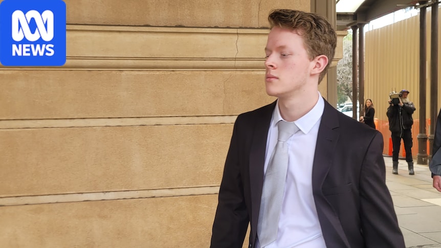 Driver Ashton Friend avoids jail for hit-and-run that killed woman at Hillcrest