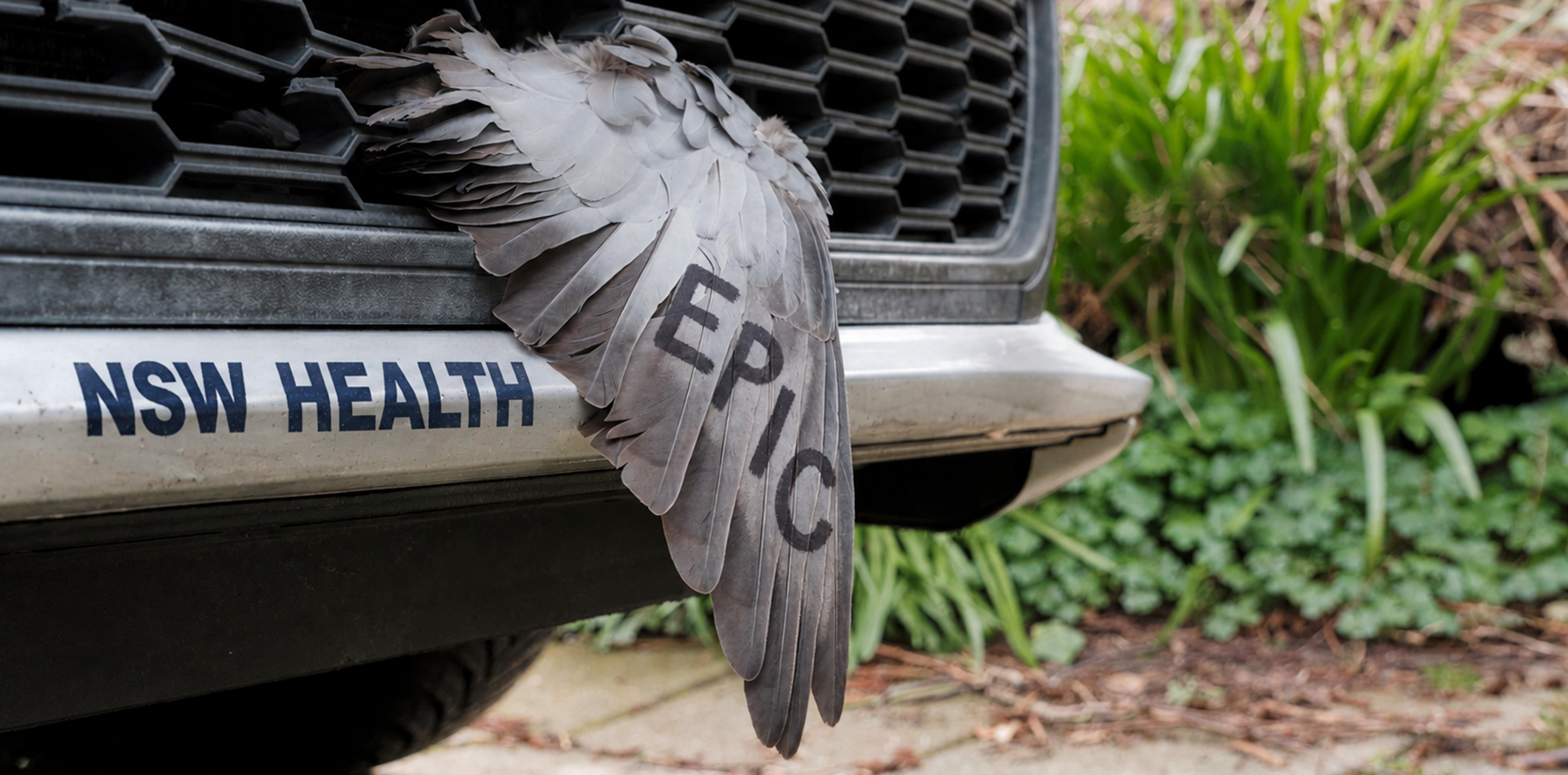 'This platform can fly, but we broke it': SDPR rollout fallout continues