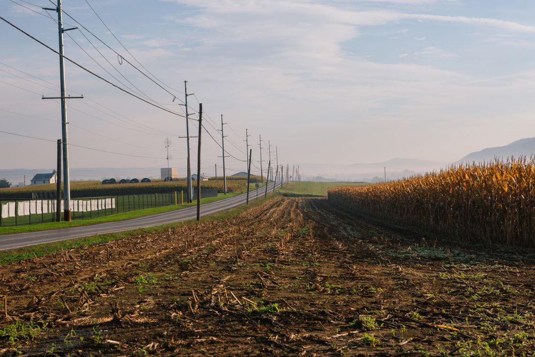 Morning light is seen over corn fields and farmland in Belleville, Pennsylvania on Friday, October 2, 2026. Mifflin County, where Belleville is situated, is near the epicenter of the largest measles outbreak in the United States.