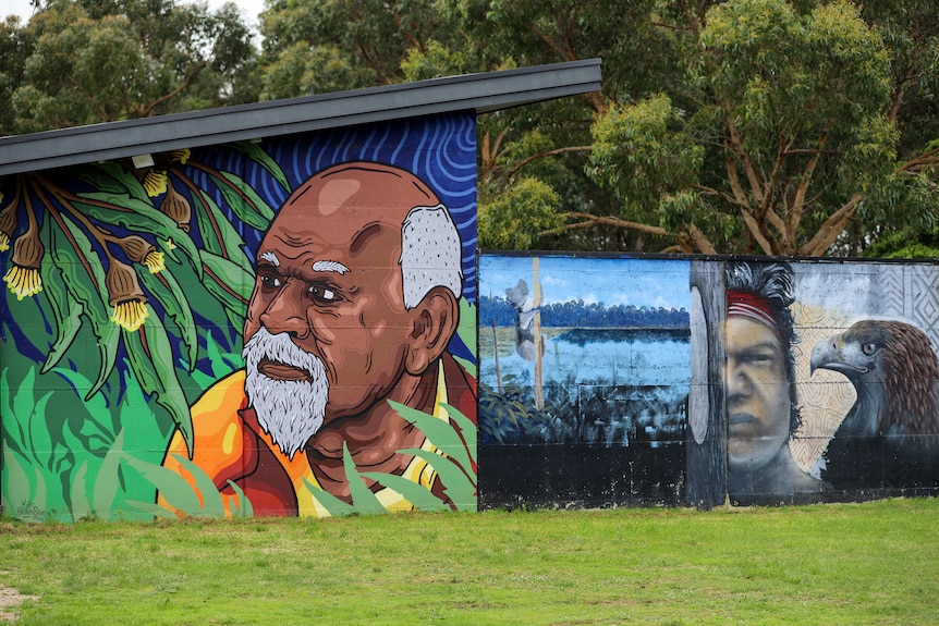 A colourful wall mural depicts an older man amoung gum leaves alongside other murals on a wall in an outdoor grassed area