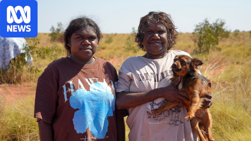 Research shows dingoes in WA's Great Sandy Desert protect native wildlife by eating feral cats