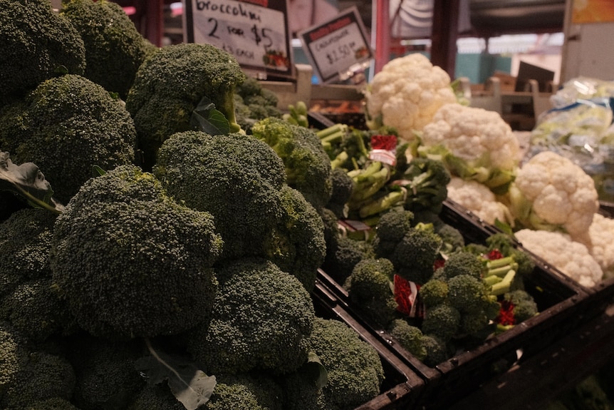 A variety of vegetables for sale in a grocer's shop.