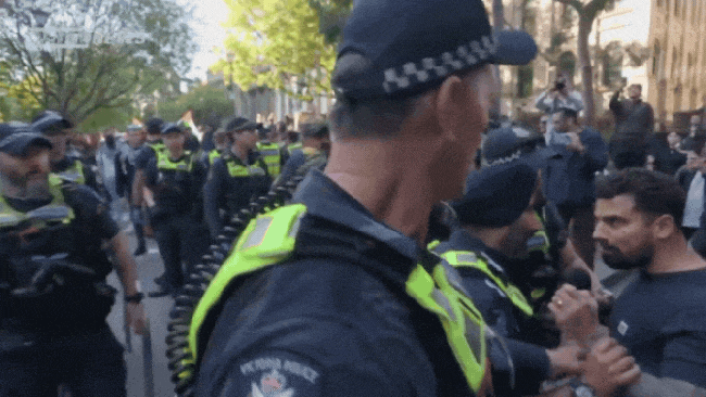 Victoria Police launch internal investigation after officer ‘throat grabbed’ Avi Yemini at pro-Palestine October 7 rally