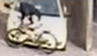 Tigers star Trent Cotchin hit by car while cycling