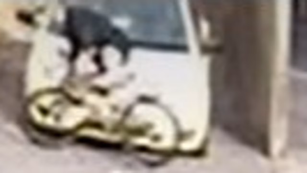 Tigers star Trent Cotchin hit by car while cycling