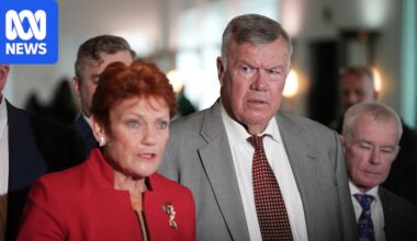 Pauline Hanson accuses Anthony Albanese of trying to divide One Nation with staffing offer