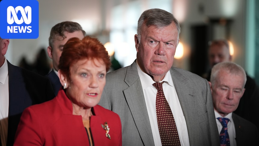 Pauline Hanson accuses Anthony Albanese of trying to divide One Nation with staffing offer