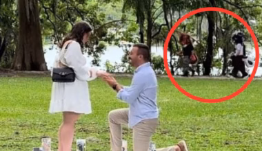 Furries photobomb proposal video in viral TikTok moment