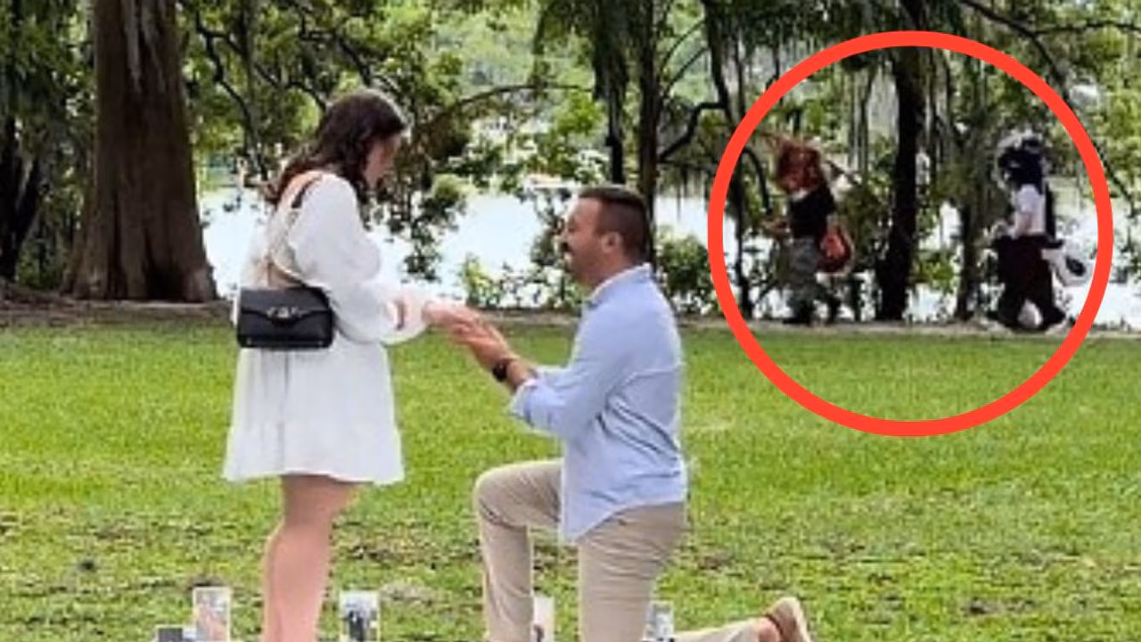 Furries photobomb proposal video in viral TikTok moment