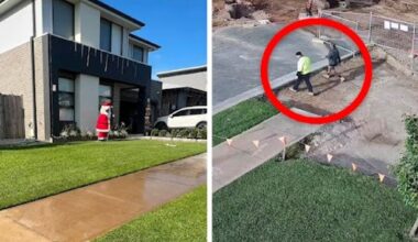 Man’s lawn stolen, neighbours say get over it