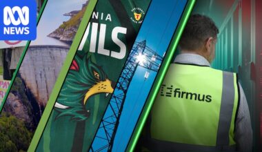 Tasmanians have expressed doubts about AI company Firmus, now so have investors