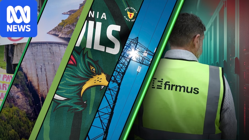 Tasmanians have expressed doubts about AI company Firmus, now so have investors