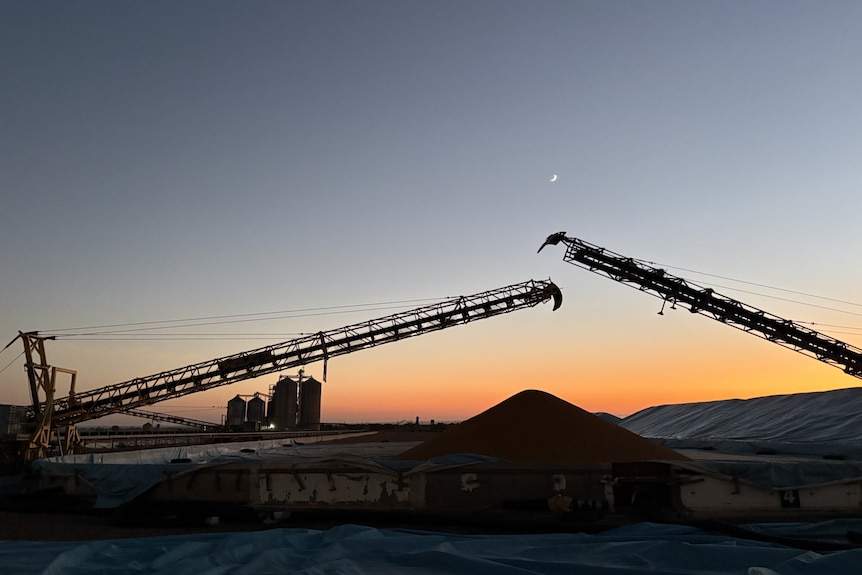 Chickpea pile as sun sets over Mt McLaren receival site