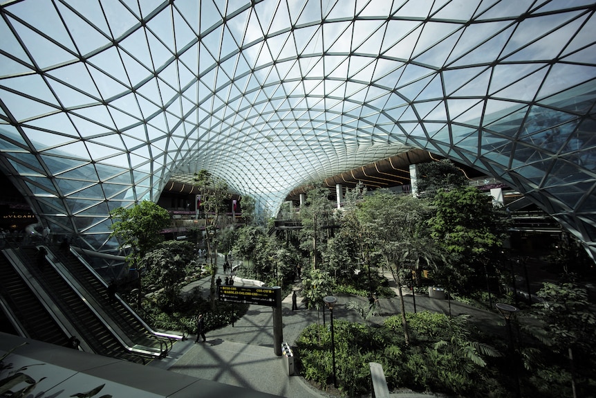 An airport terminal witih a crosshatch glass roof includes plenty of trees and greenery and an escalator