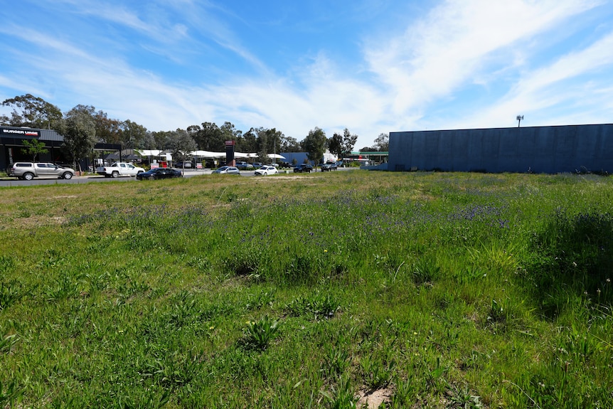 A grass field with parked cars shops opposite
