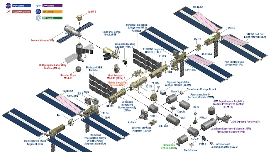 A graphic illustration showing the International Space Station separated into individual modular parts in blue and grey.