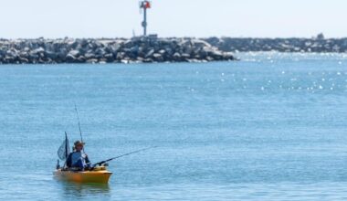 Exotic species appear off California during El Nino