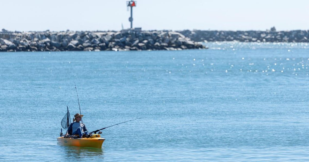 Exotic species appear off California during El Nino