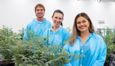 Turning Up Heat On Chickpea Yield