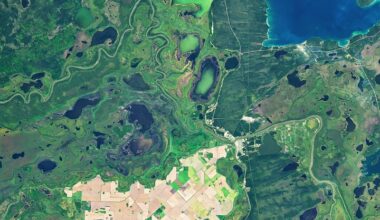 An Agricultural “Island” in the Saskatchewan River Delta