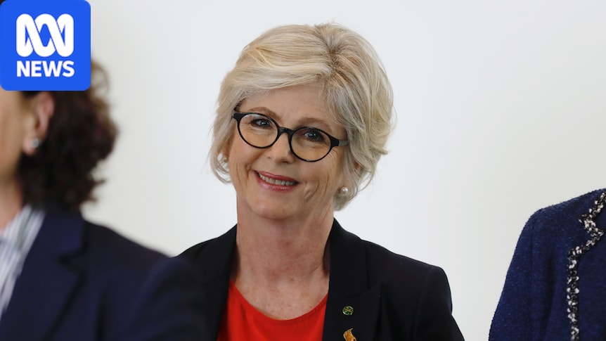 Helen Haines now serious but stable in hospital following alleged attack