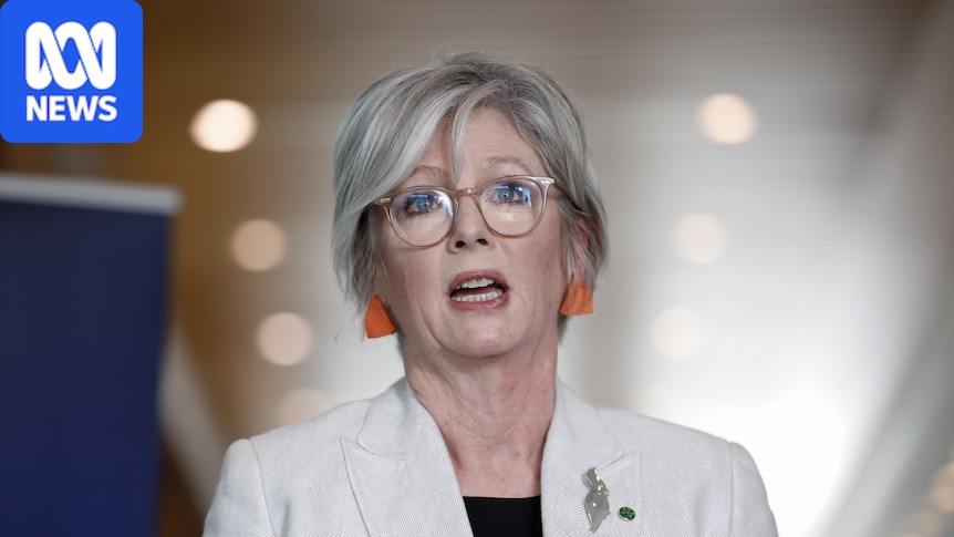 Helen Haines lobbied Anthony Albanese on $9b rural health gap days before critical attack