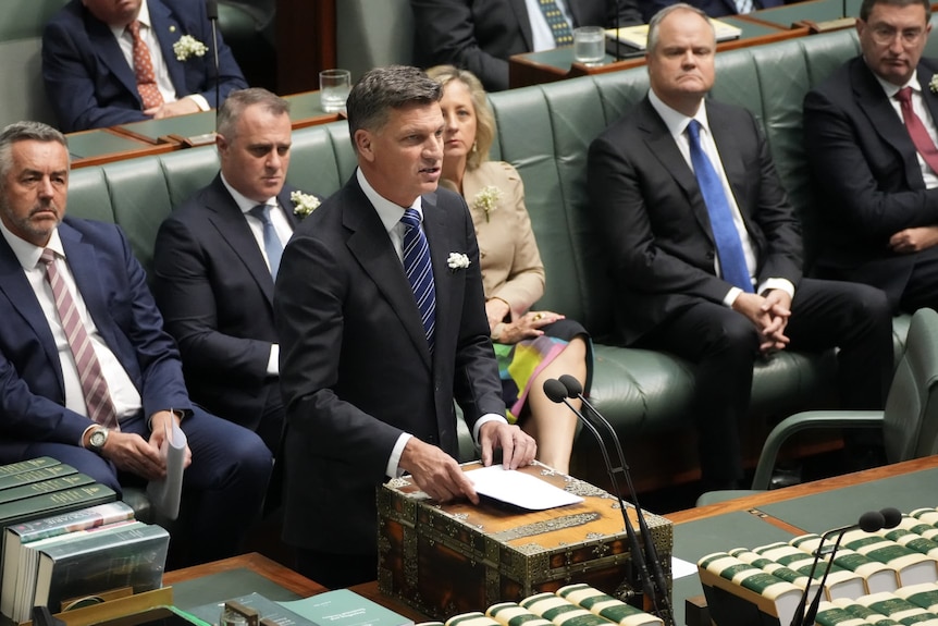 Opposition Leader Angus Taylor speaking in Parliament. 