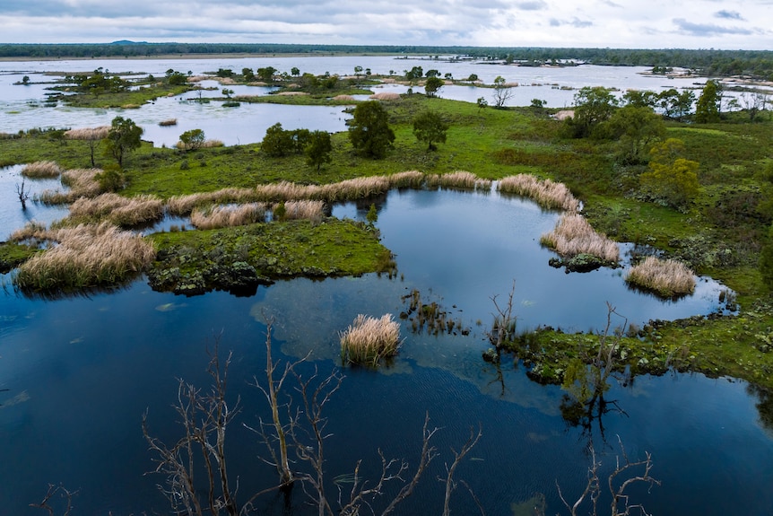 An aerial photo of a vast wetland landscape.