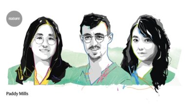 Hydrogels and MRI: meet three biomedical engineers reshaping health care