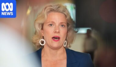 Business groups call for 'political leadership' as ATO digs in on credit card ban