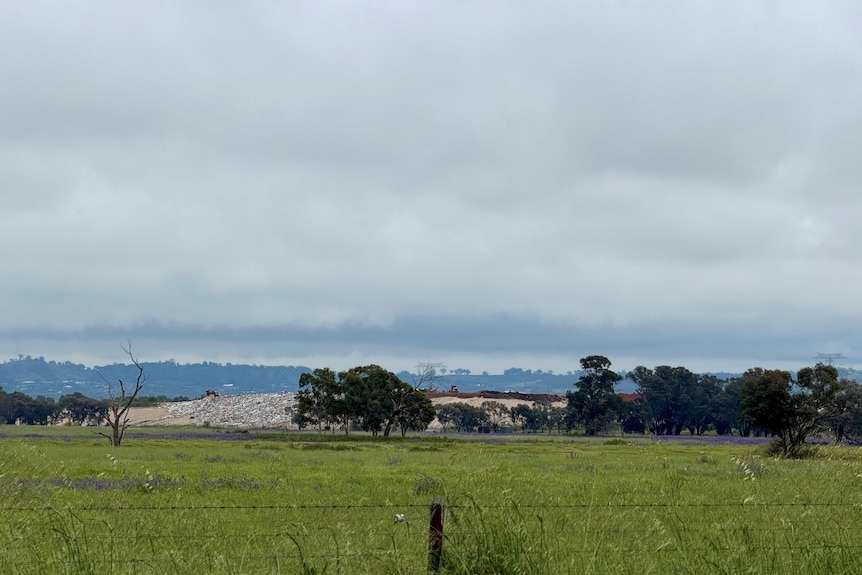 A green paddock with a pile of rubbish at a regional landfill facility in the background. 