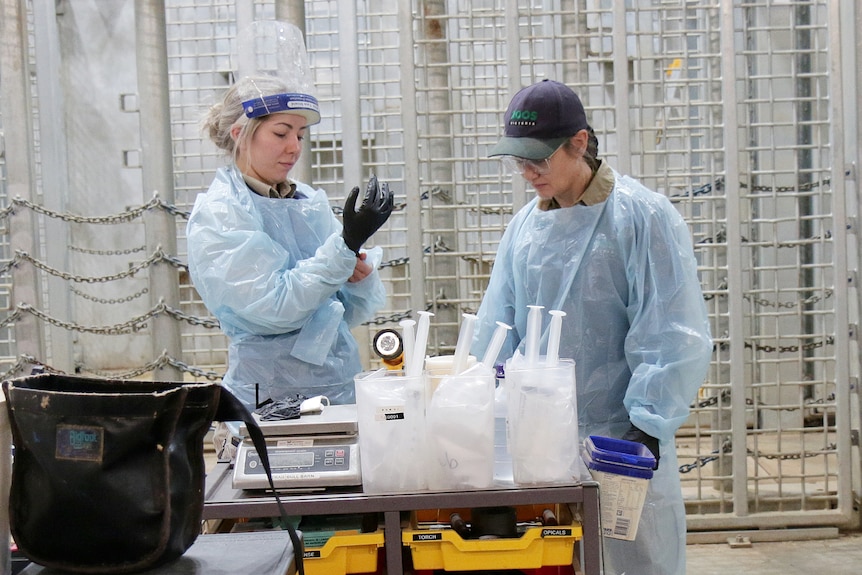 Two women in blue gowns, dark gloves, one with a face shield in a large concrete area.