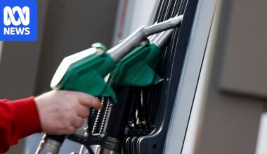 G7 countries to release 100 million barrels of diesel and oil to curb fuel prices