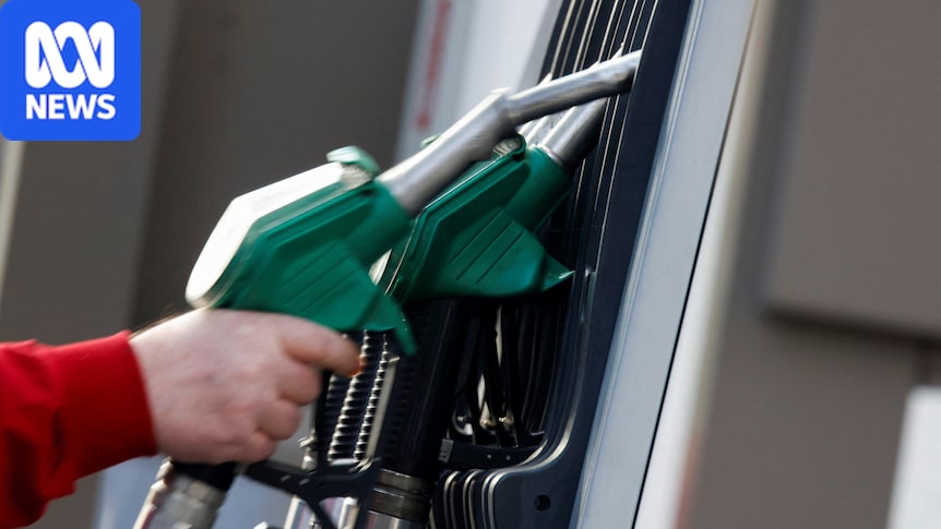 G7 countries to release 100 million barrels of diesel and oil to curb fuel prices