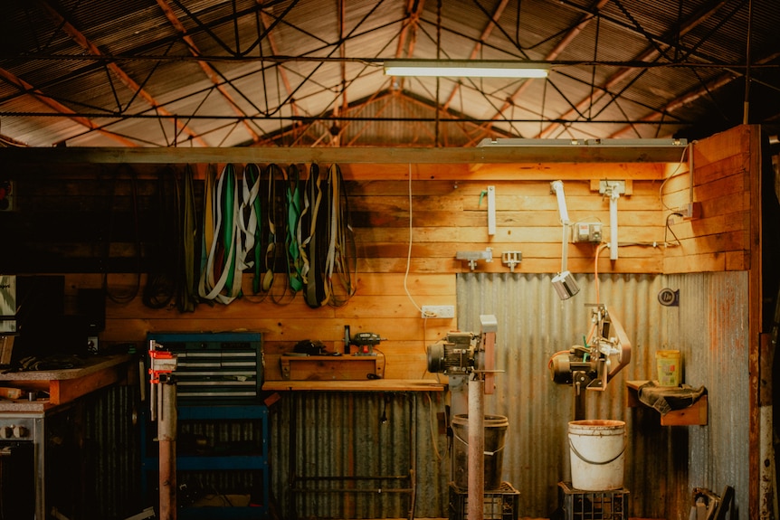 A corrugated iron shed is used as a knife making workshop
