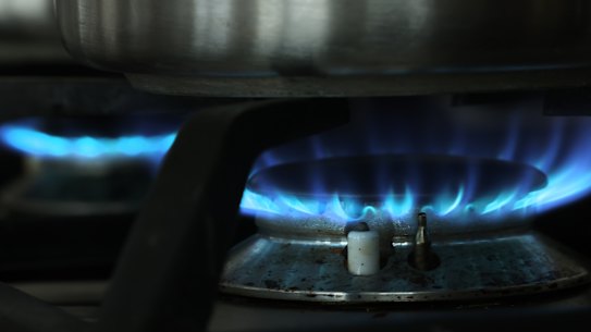 Residents of the Woollahra local government area face a ban on gas stoves and hot water systems in new builds and major renovations.