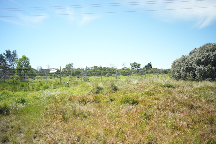 A temporary fence on a block of coastal grass in Point Lonsdale