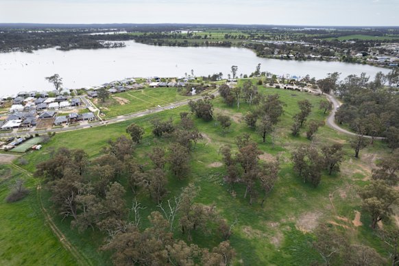 The trees in Nagambie under threat at the Elloura housing estate.