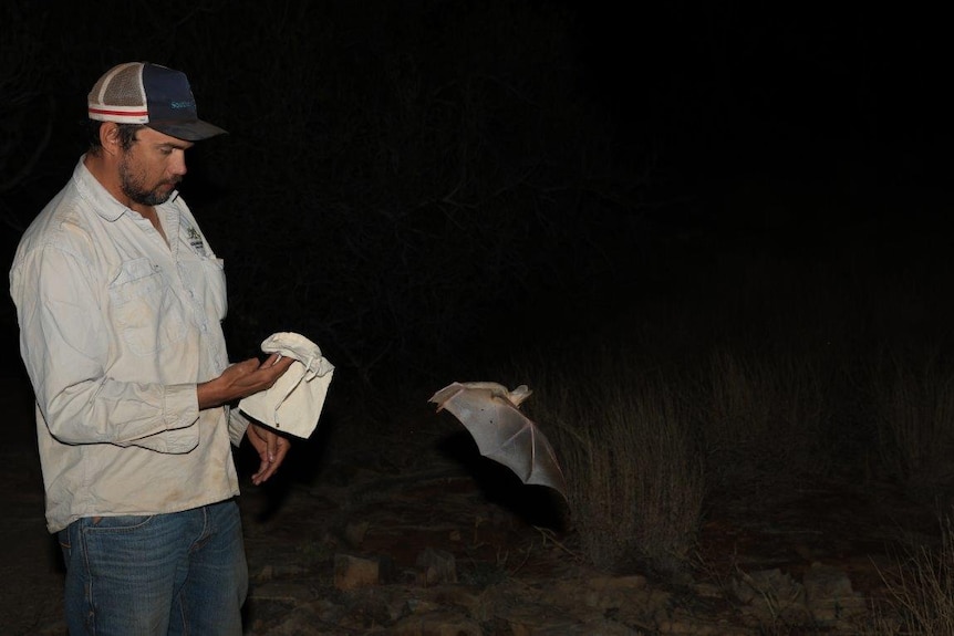 A man releases a bat into the night sky