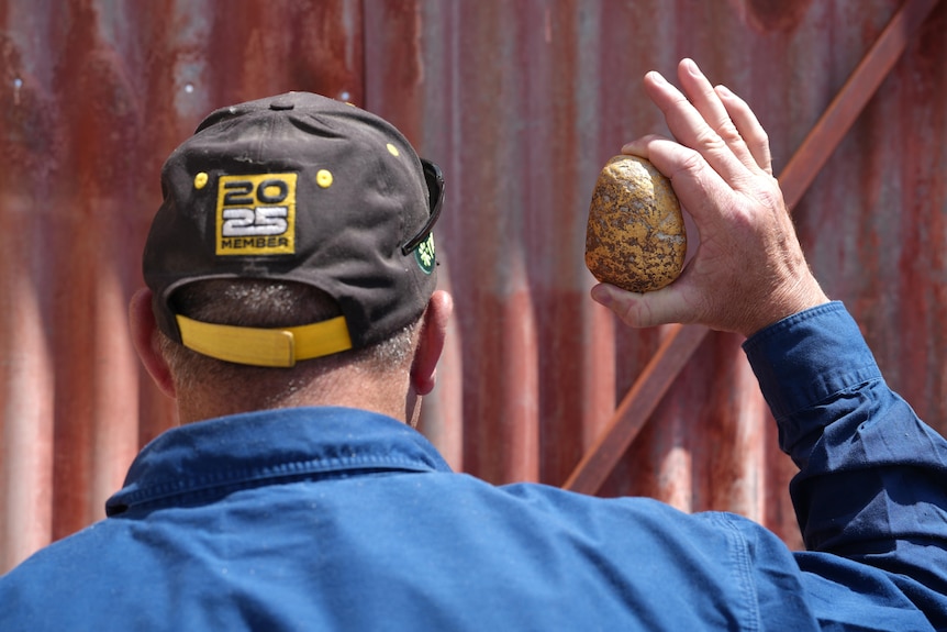 A man facing away from the camera in front of a corrugated iron fence, holding up the gold nugget.