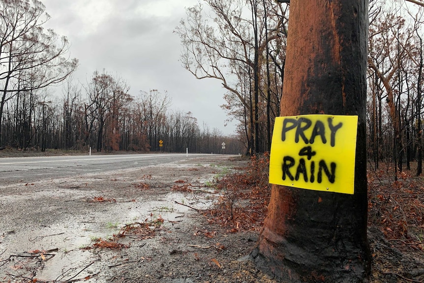 A sign saying "Pray 4 rain" is in burnt-out bushland which is drenched by rain.