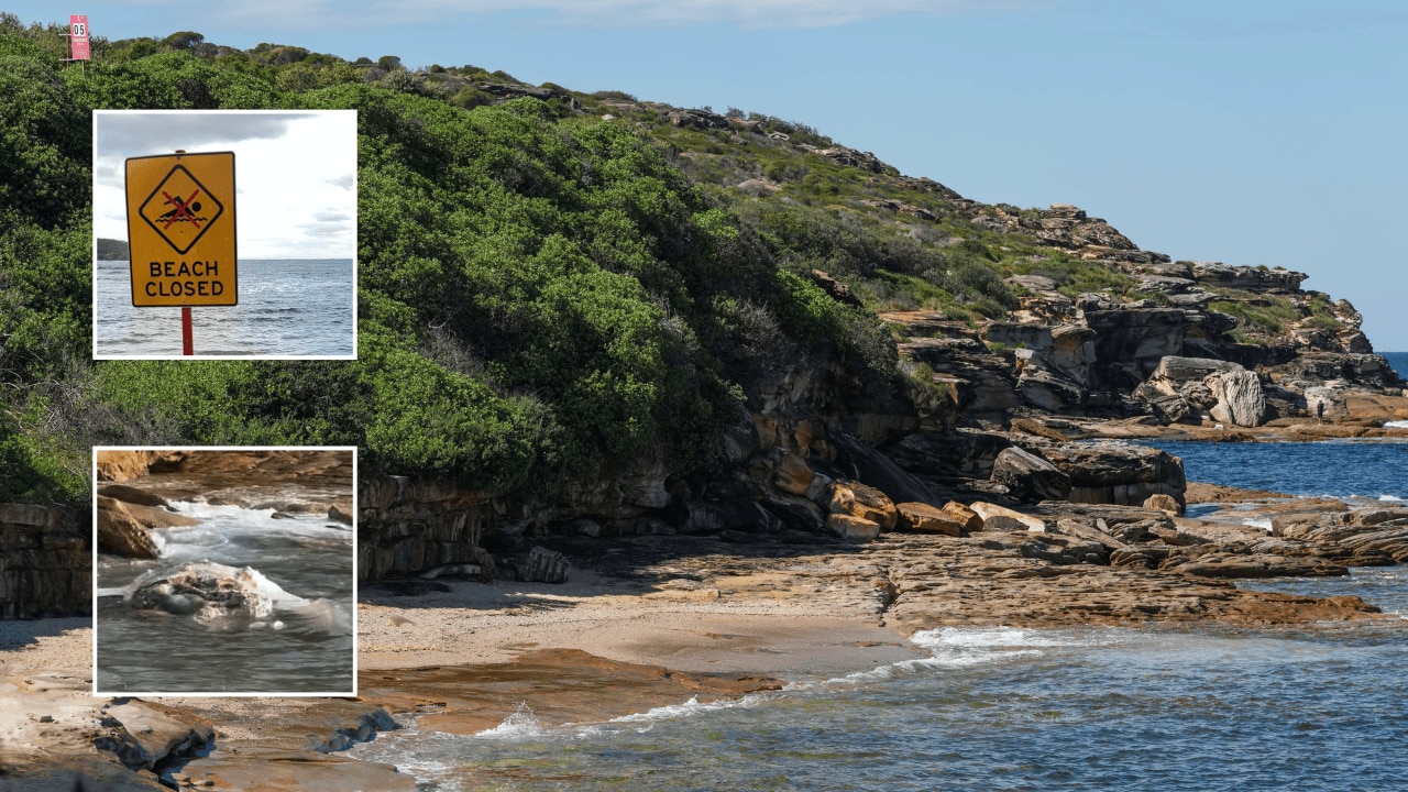 Decomposing baby whale carcass that closed Sydney's Coogee and Maroubra beaches washes ashore at Malabar as removal planned