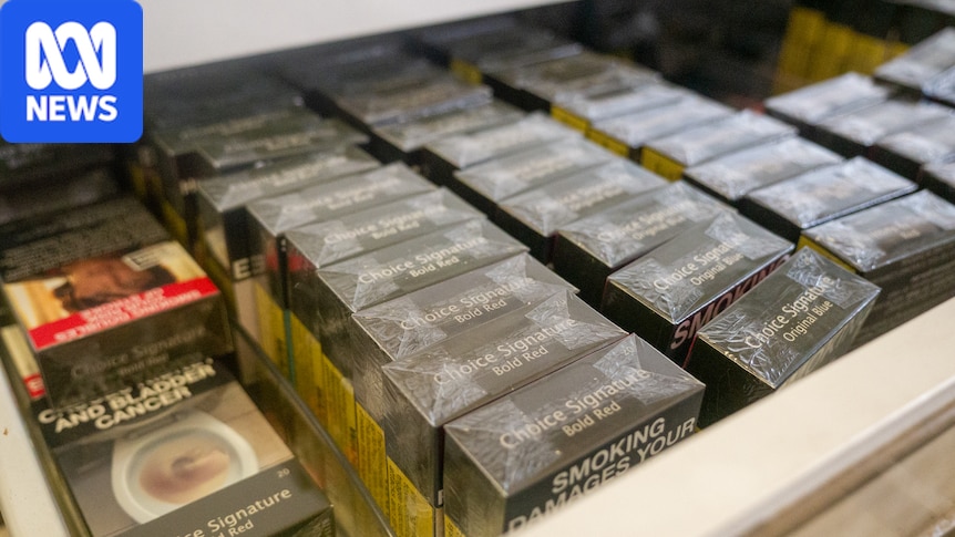 Legal cigarette sales jump 55 per cent in Queensland after black market crackdown