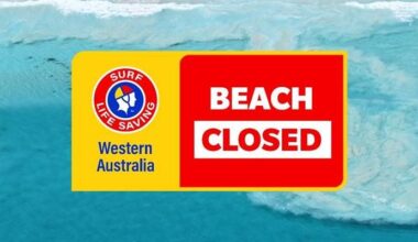Sorrento Beach closed after a whale carcass was spotted on Sunday morning, shark advice issued
