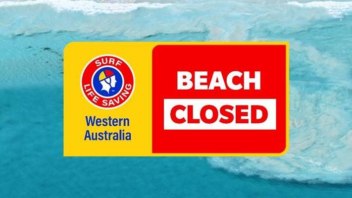 Sorrento Beach closed after a whale carcass was spotted on Sunday morning, shark advice issued